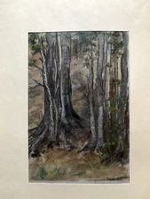 Franz Ehmke 1928-2018 GDR Painter Pastel Beech And Birch ° Forest Nature Autumn