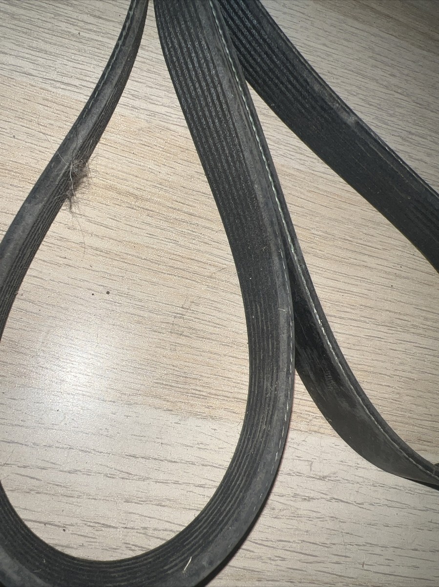 Alliance 01-32241-065 Freightliner Serpentine Belt 8rib
