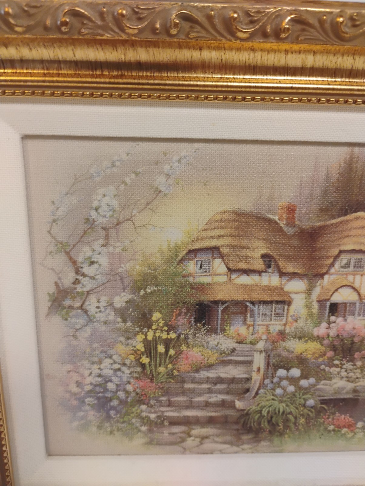 Picture 3 of 12