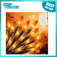 Orange Battery Operated String Lights With Timer 20 Led Indoor Halloween Decor