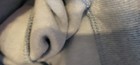 Bild 3 von 11