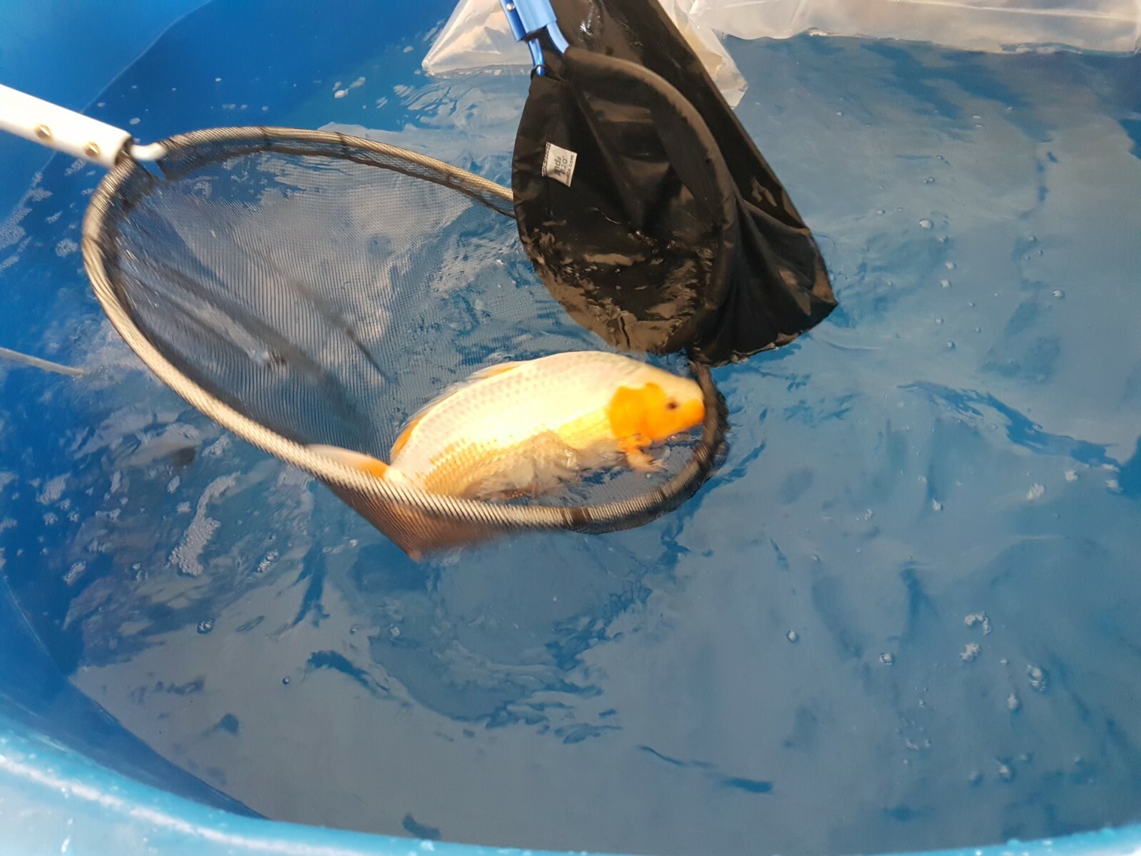 Heavy Duty Waterproof Koi Sock Net, Safe transfer of Koi Fish NET