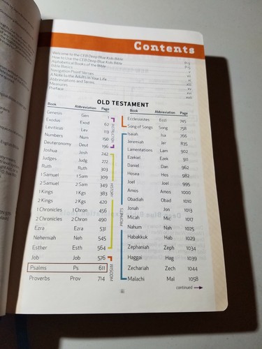 Deep Blue Kids Bible Common English CEB, Like New Silver Gilded Edge, 2012, Soft - Picture 4 of 10