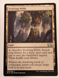 Evolving Wilds #243/269 Magic 2015 (M15) Common Land