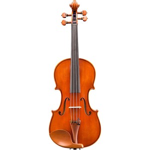 Samuel Eastman Violin Vl100 | eBay