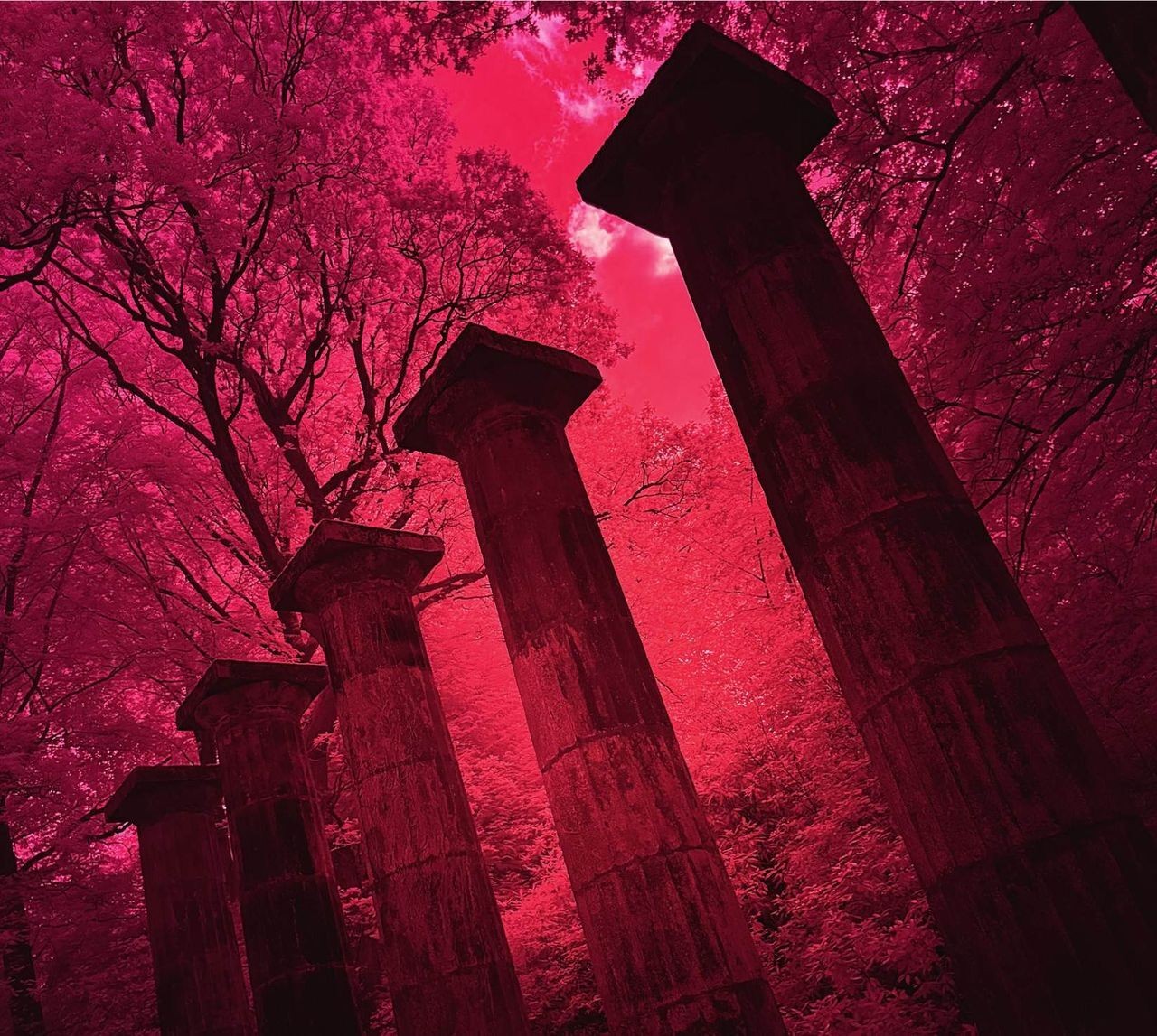 Альбом Arc Chronicle (CD)