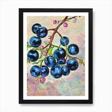 Black Currant 1 Vintage Sketch Frui Framed Wall Art Poster Canvas Print Picture