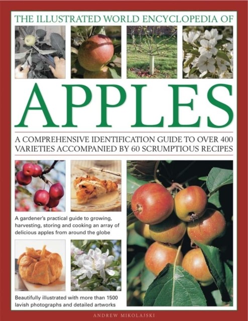 Illustrated World Encyclopedia of Apples by Andrew Mikolajski (Hardback Book)