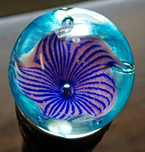Mundgeblasene Caithness Schottland Petunien Kunst Glas Briefbeschwerer Blume signiert & # - Bild 13 von 13