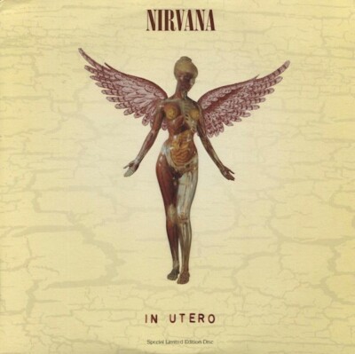 Nirvana - In Utero LP レコード USオリジナル Amazon.com: In Utero (30th Anniversary LP+10 inch): CDs & Vinyl