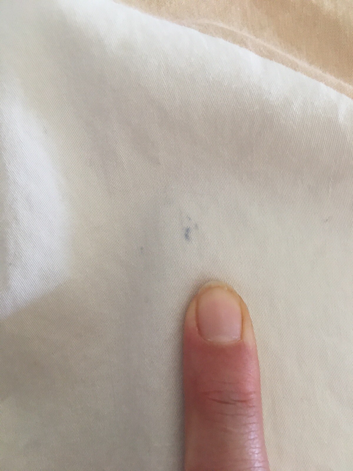 Picture 12 of 13