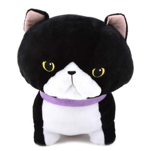 Amuse Ironna Munchkin Cat Plush Munchkin Ojiki Chinmari Black Cat Stuffed 14