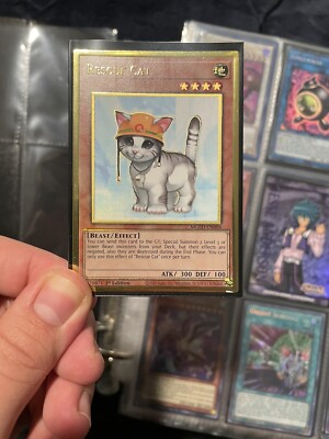 Yugioh! Rescue Cat - MGED-EN006 - Premium Gold Rare - 1st Edition Near Mint, Eng