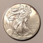 2013 American Silver Eagle 1 Troy Oz. .999 Fine Silver Dollar Coin BU!