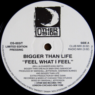 Bigger Than Life - Feel What I Feel / High And Mighty / VG+ / 12'''', Ltd