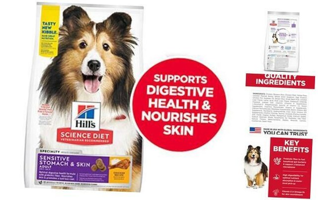 science diet digestive dog food