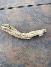 Natural Driftwood for Plants Terrarium Taxidermy Art Projects
