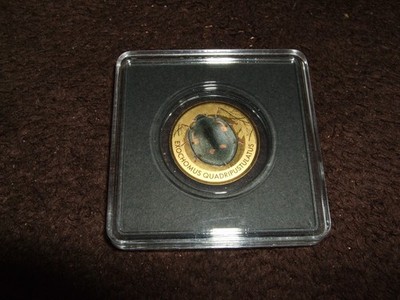 Tschad, 3000 Francs, 1/500 oz Gold, ''Vierfleckiger Kugelmarienkäfer'', farbig.