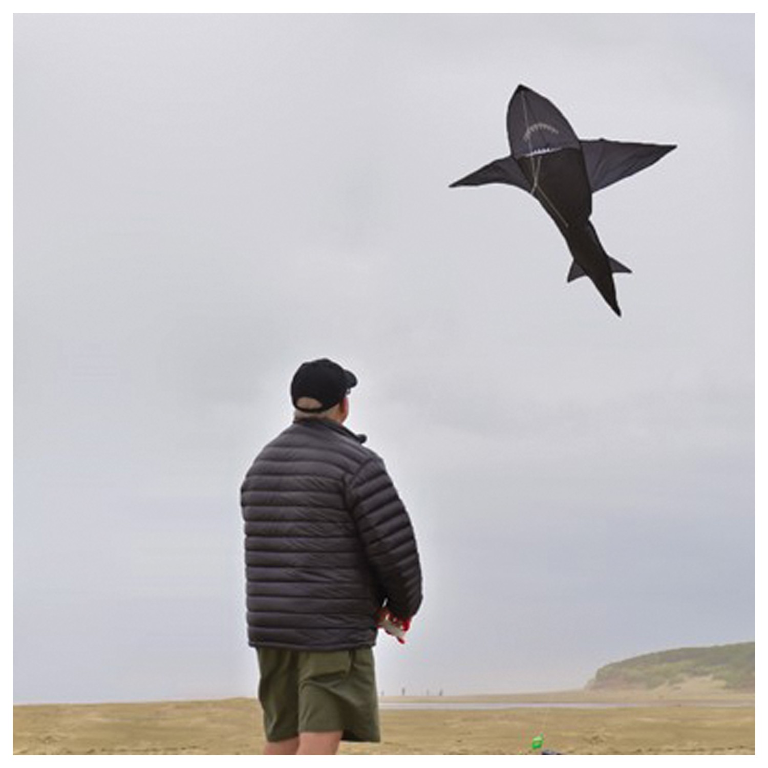 Воздушный змей In The Breeze 3D 4 Shark из прочного полиэстера и инновационного дизайна для 7590₽