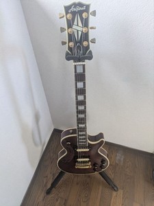 Aria Pro II Custom | eBay