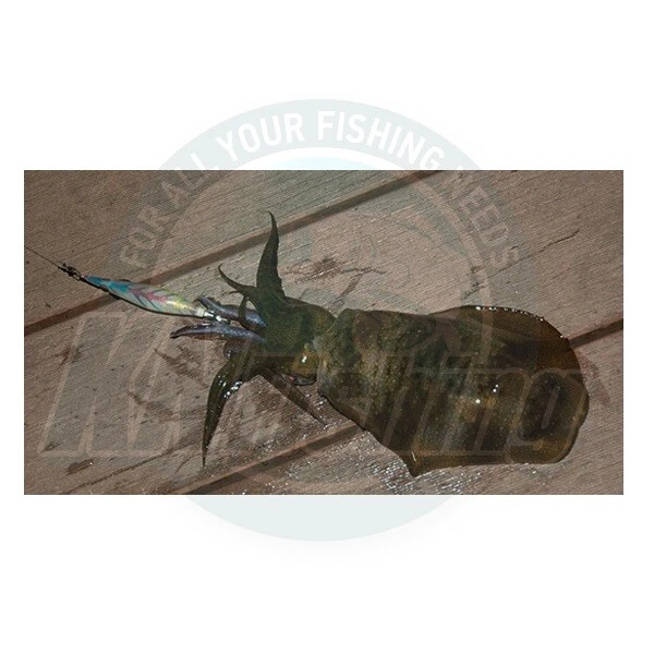 PROPIETARIO DIBUJAR 4 EGI CALAMAR PLANTILLA HUEVO CALAMAR PESCA EN ORILLA 3.0 - 3.5 Foto 3 de 4