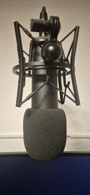 RØDE NT1 Signature Black Großmembran Kondensator Mikrofon XLR Spinne Filter