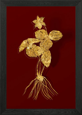 Gold Flora auf Rot Gerahmtes Wandbild Poster Leinwanddruck Bild
