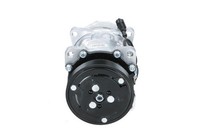 BV PSH 090.225.013.876 Klimakompressor FüR Fiat Peugeot CitroËN
