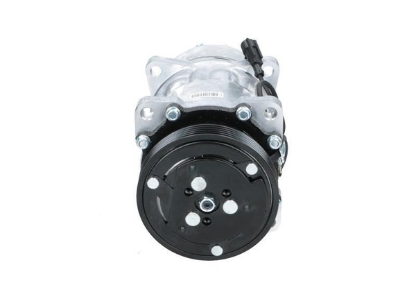 BV PSH 090.225.013.876 Klimakompressor FüR Fiat Peugeot CitroËN-image