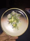 Vintage Antique Three Crown China Germany Porcelain Plate Pears & Blossoms guc — photo 1
