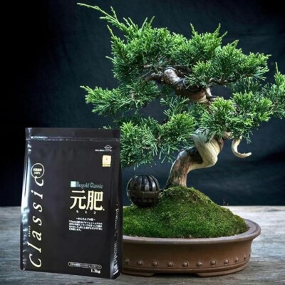 Japanese Biogold Classic Motohi Natural Organic Bonsai Fertilizer 1.3kg set  of 2 | eBay