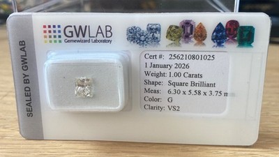 Natürlicher Diamant Natural Diamond 1,00 ct G VS2 unbehandelt GWLAB Certified No Fl