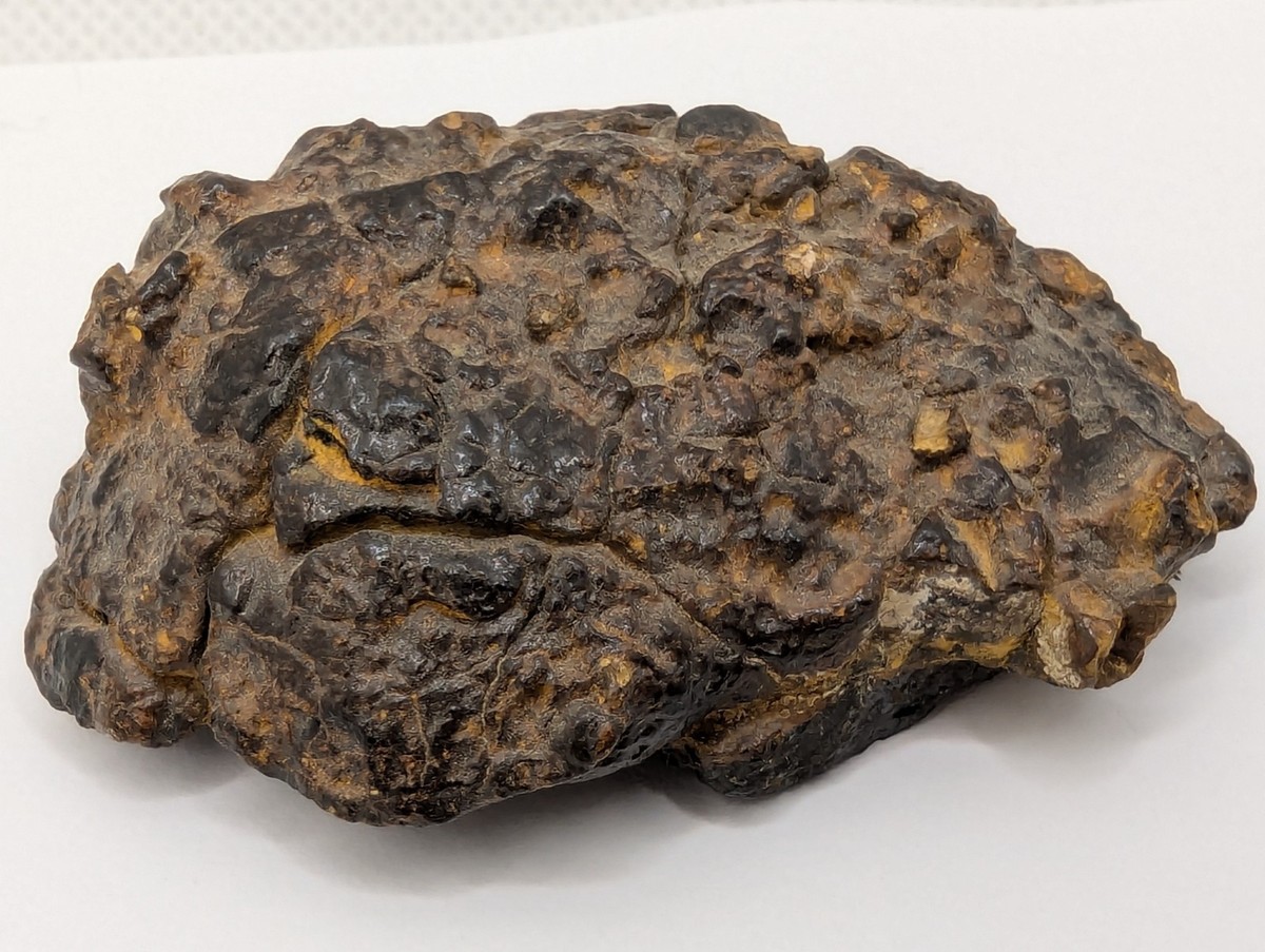 Nantan Iron Meteorite Guangxi China Space Rock Specimen 64 mm Long