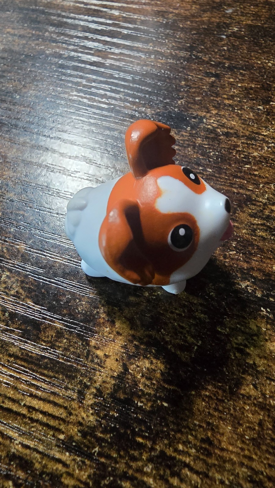 Picture 2 of 5