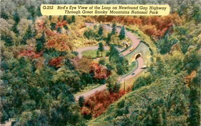 Vintage postcard bird's eye view Loop-Over, Chimney Tops