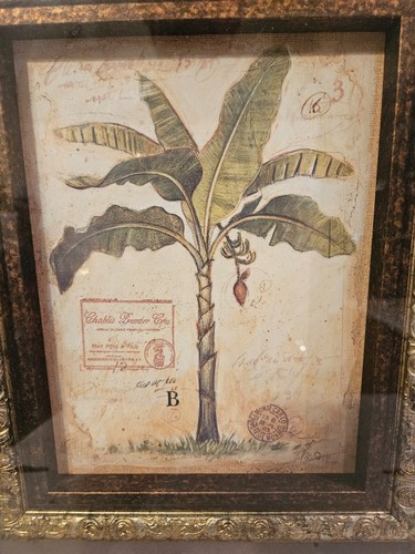 Chad Barrett Banana Palm Offset Lithograph Artwork Beautiful 21 X 23 wood framed - Picture 10 of 12
