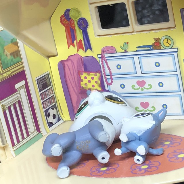 littlest pet shop series 1