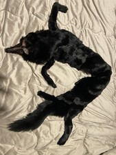 PELLICCIA COLLO DI VOLPE INTERA MARRONE