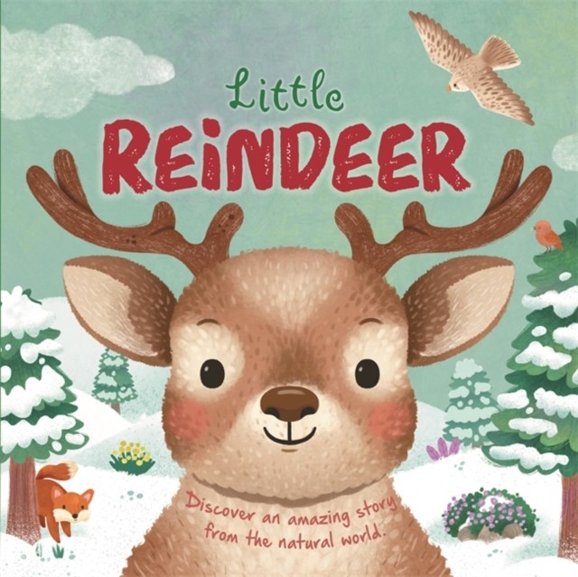 Little Reindeer - Image 3