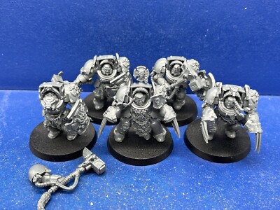 5 Wolfguard Terminatoren der Space Wolves 1