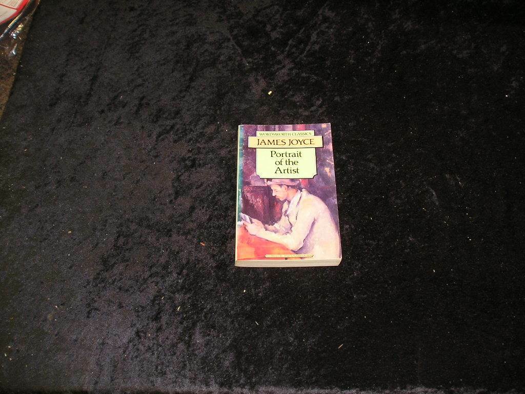 A Portrait of the Artist as a Young Man by James Joyce (Paperback, 1992)