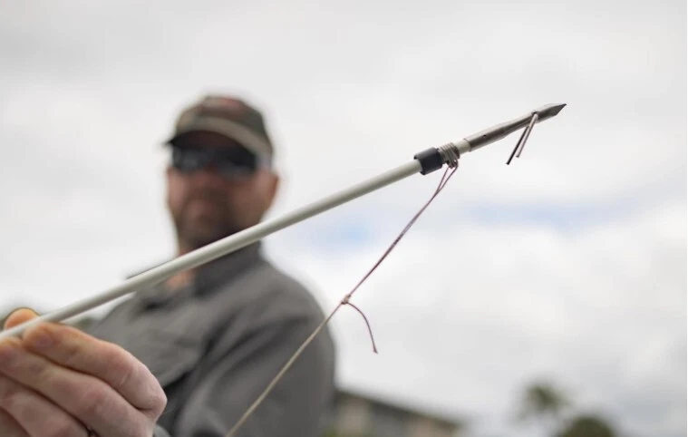 Umarex AirJavelin FishR PCP Bowfishing Airgun & 2 Fiberglass Pro-Point Arrows | eBay Umarex AirJavelin FishR PCP Bowfishing Airgun & 2 Fiberglass Pro-Point Arrows | eBay