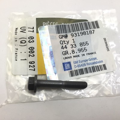 Vauxhall Movano A B Fuel Injection Cylinder Head Screw Bolt GM Genuine 93198187