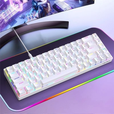 68 Key Color Backlights Mechanical Keyboard With Hot Swappable Switches