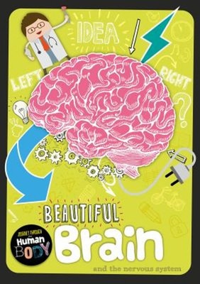 Beautiful Brain and the Nervous System Paperback Charlie Ogden