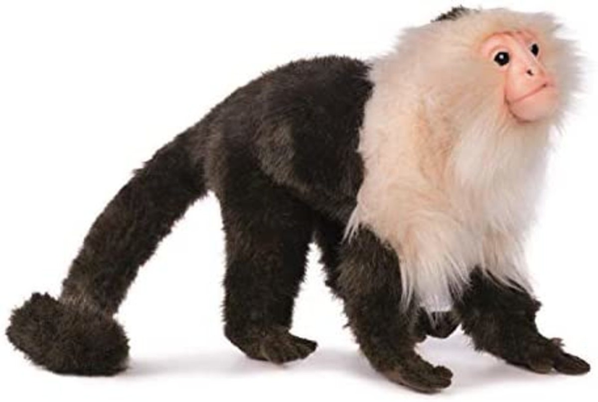 HANSA capuchin monkey No.5851 20cm BH5851 Free Shipping with
