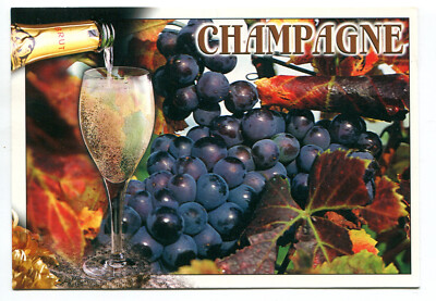 Champagner - Traube, Weinblätter, Flöte, roh, Bläschen