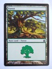 MtG: Forest (Commander) - LP