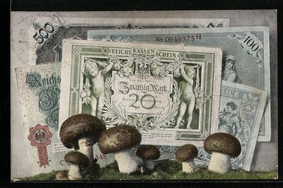 Postcard notes and mushrooms in a meadow 1906 