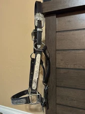  Western Show halter black leather with silver and gold overlay, lead